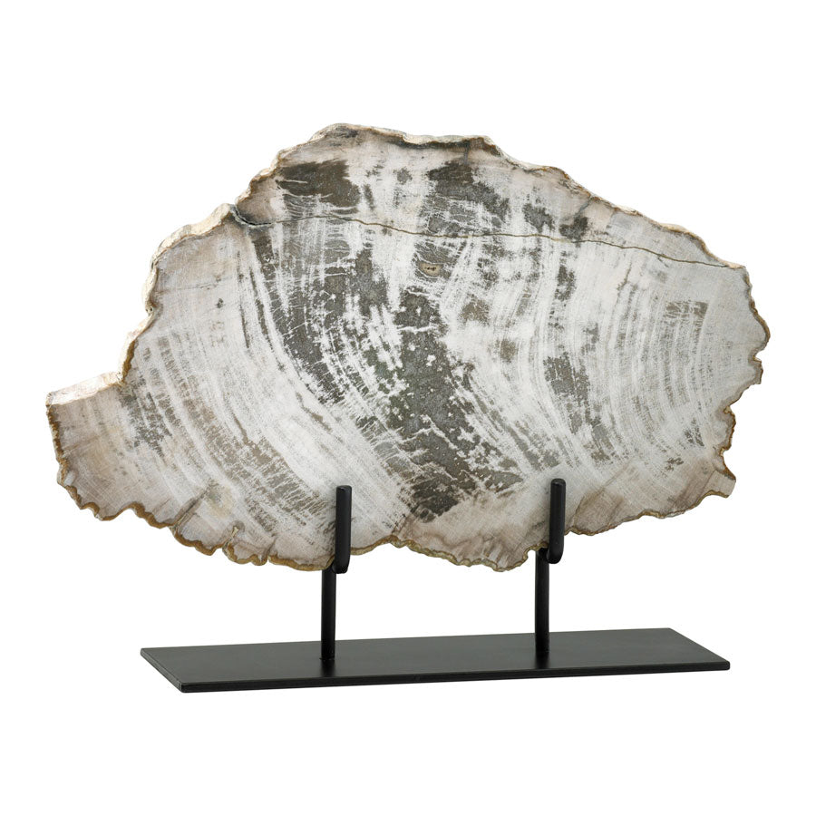 Large Petrified Wood On Stand
