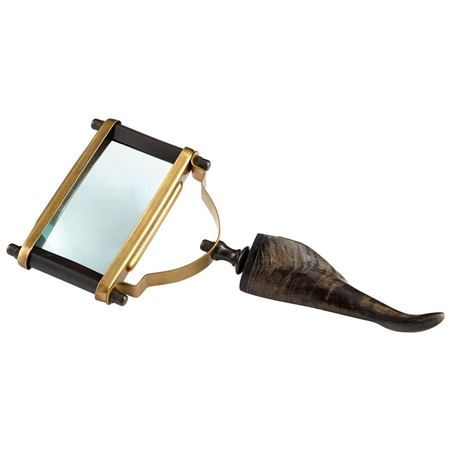 Enfoque Magnifier