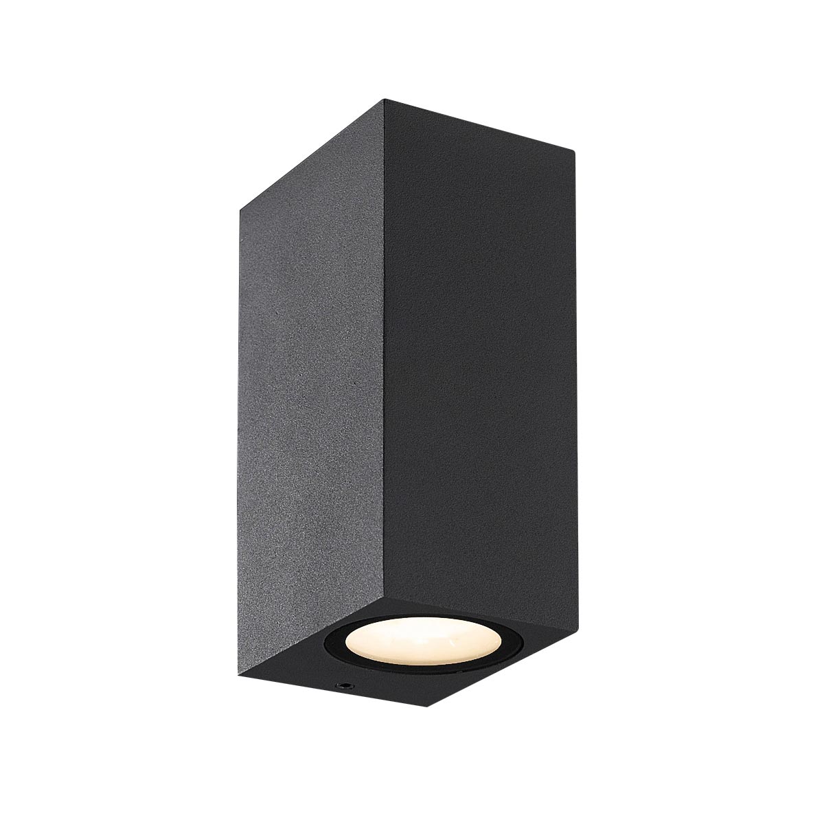 Dale LED Outdoor Wall Mount