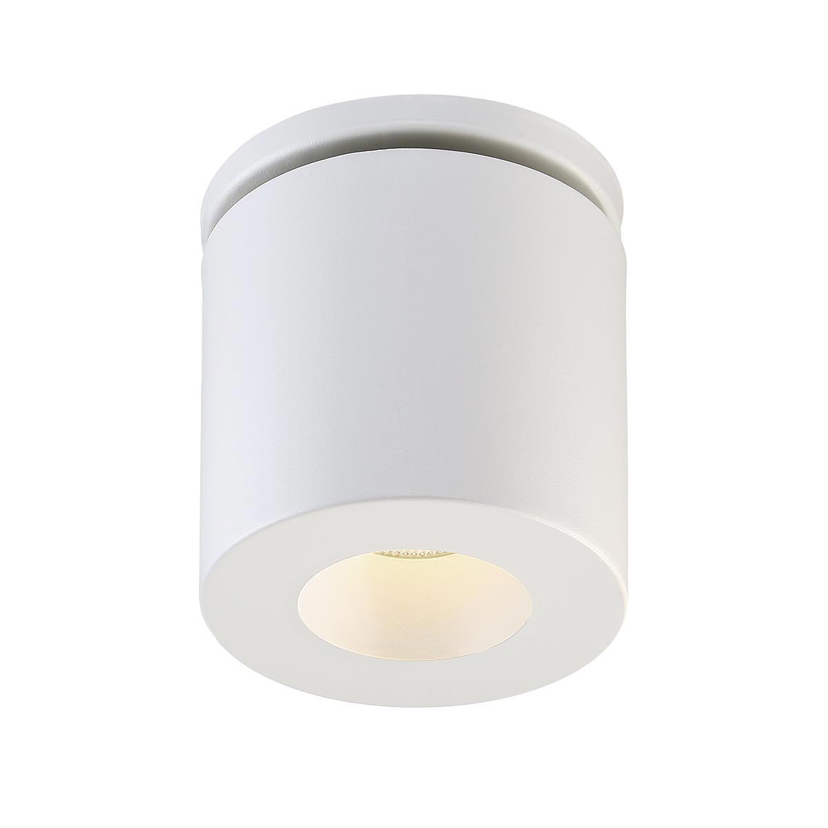Lotus 1-Light LED Flushmount