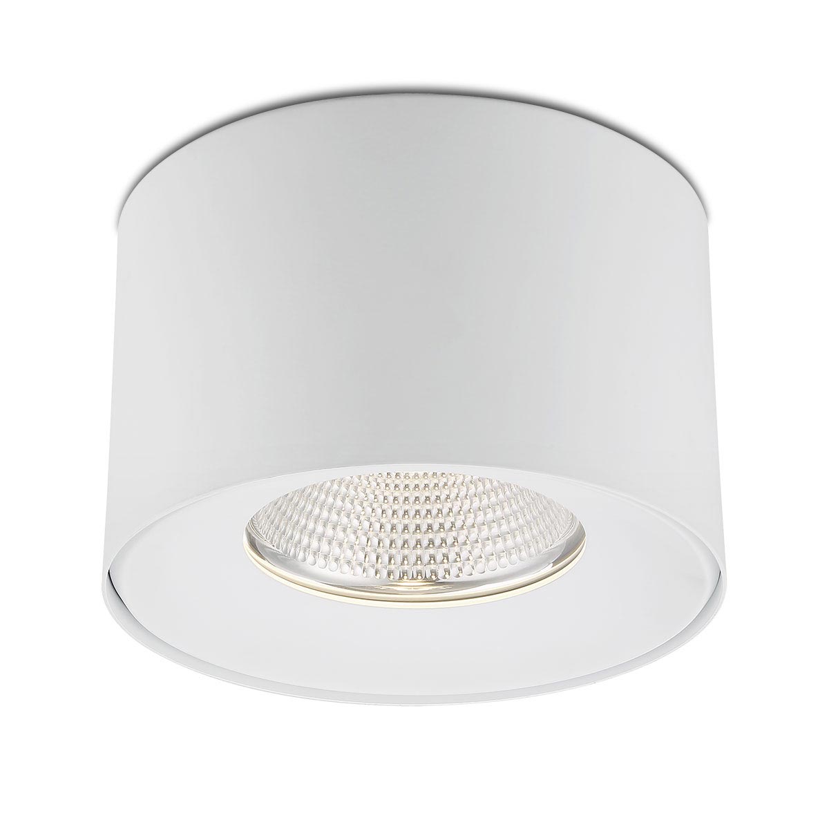 Parkway 1-Light LED Flushmount