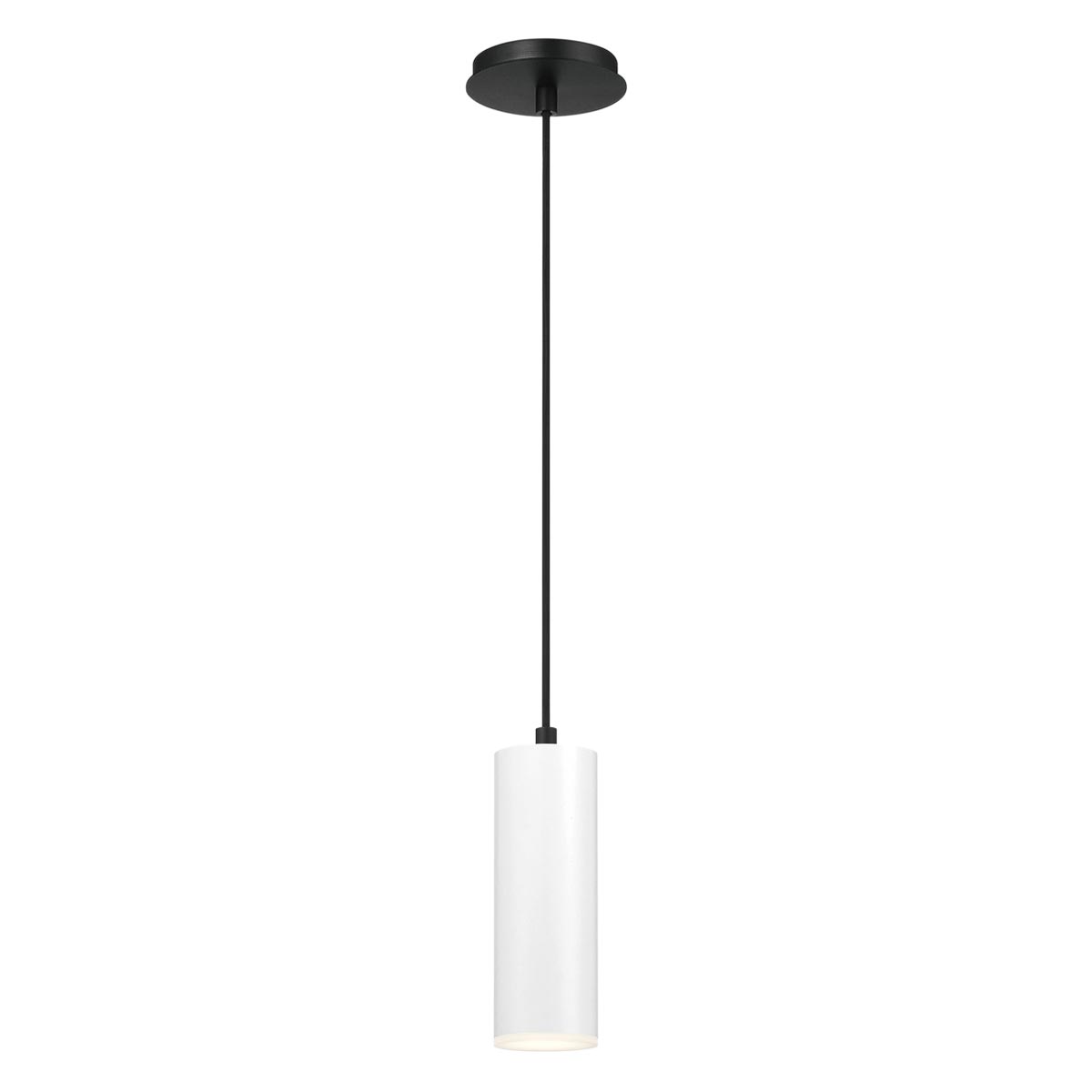 Neptune 1-Light LED Pendant/Flushmount