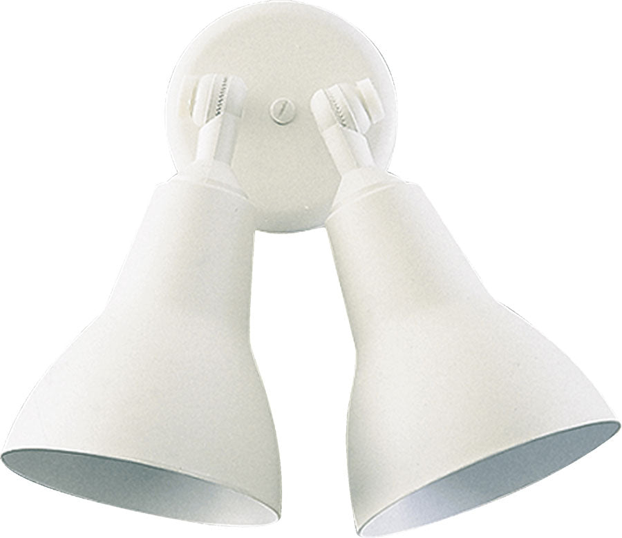 2LT PAR LAMP FLOODLGT-WH