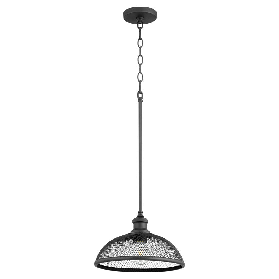 OMNI 1LT PEND - NR