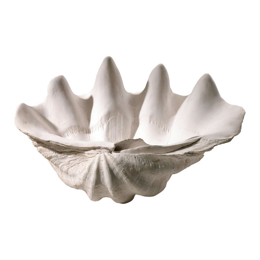 Clam Shell