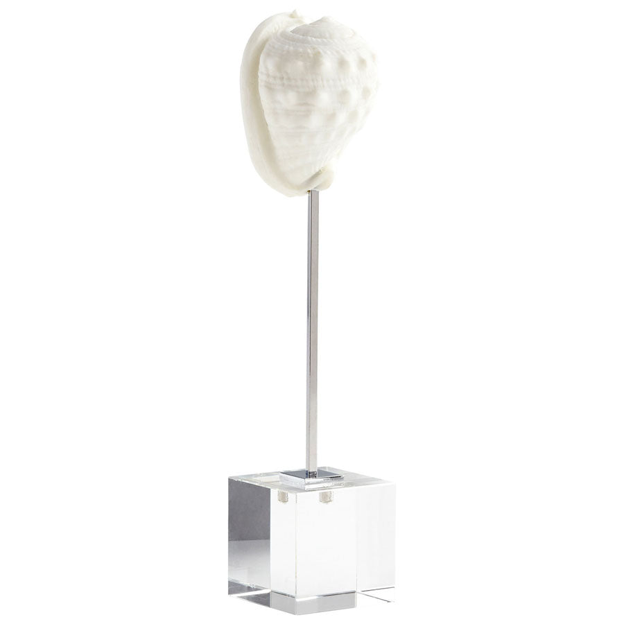 Phalium Sculpture
