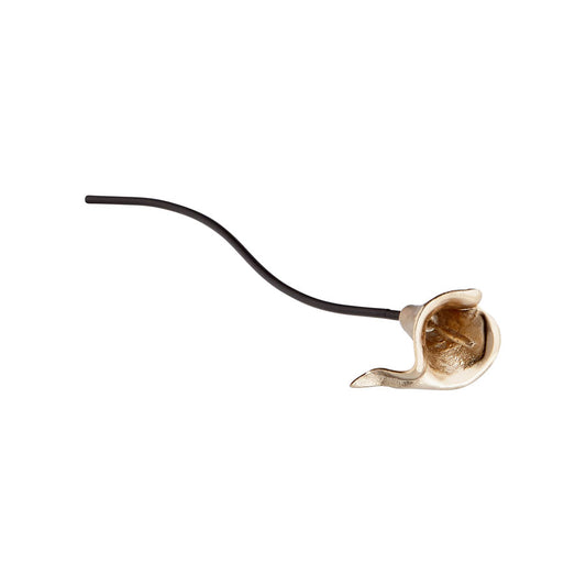 Belladonna Filler