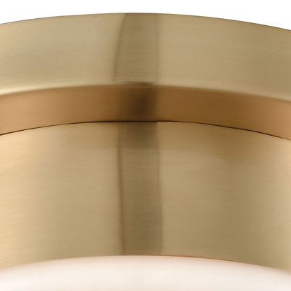 Riley 1 Flush Satin Brass