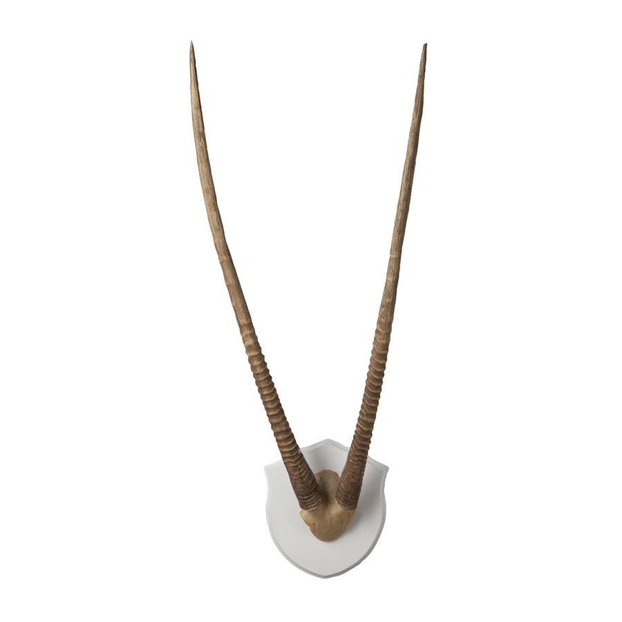 Gazelle Horns Ecru Wood Plaque