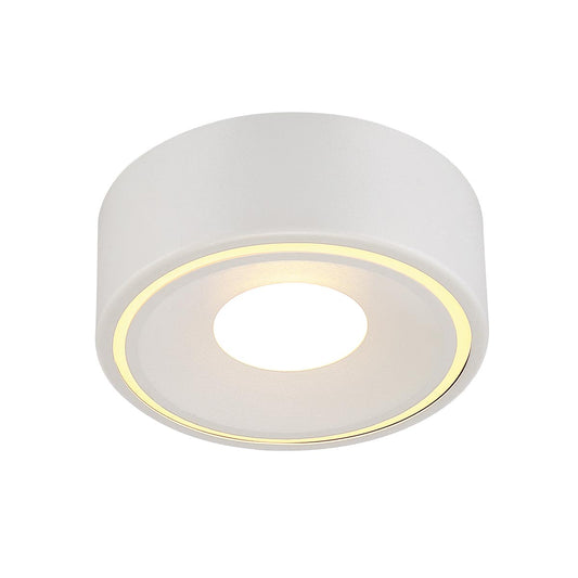 Stavro 1-Light Surface Mount