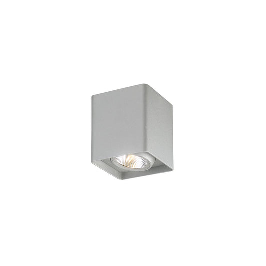 Outdoor LED Wall Mount
