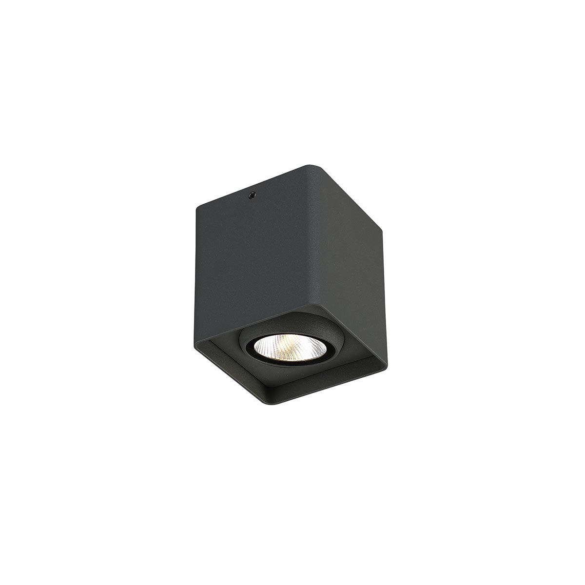 Outdoor LED Wall Mount