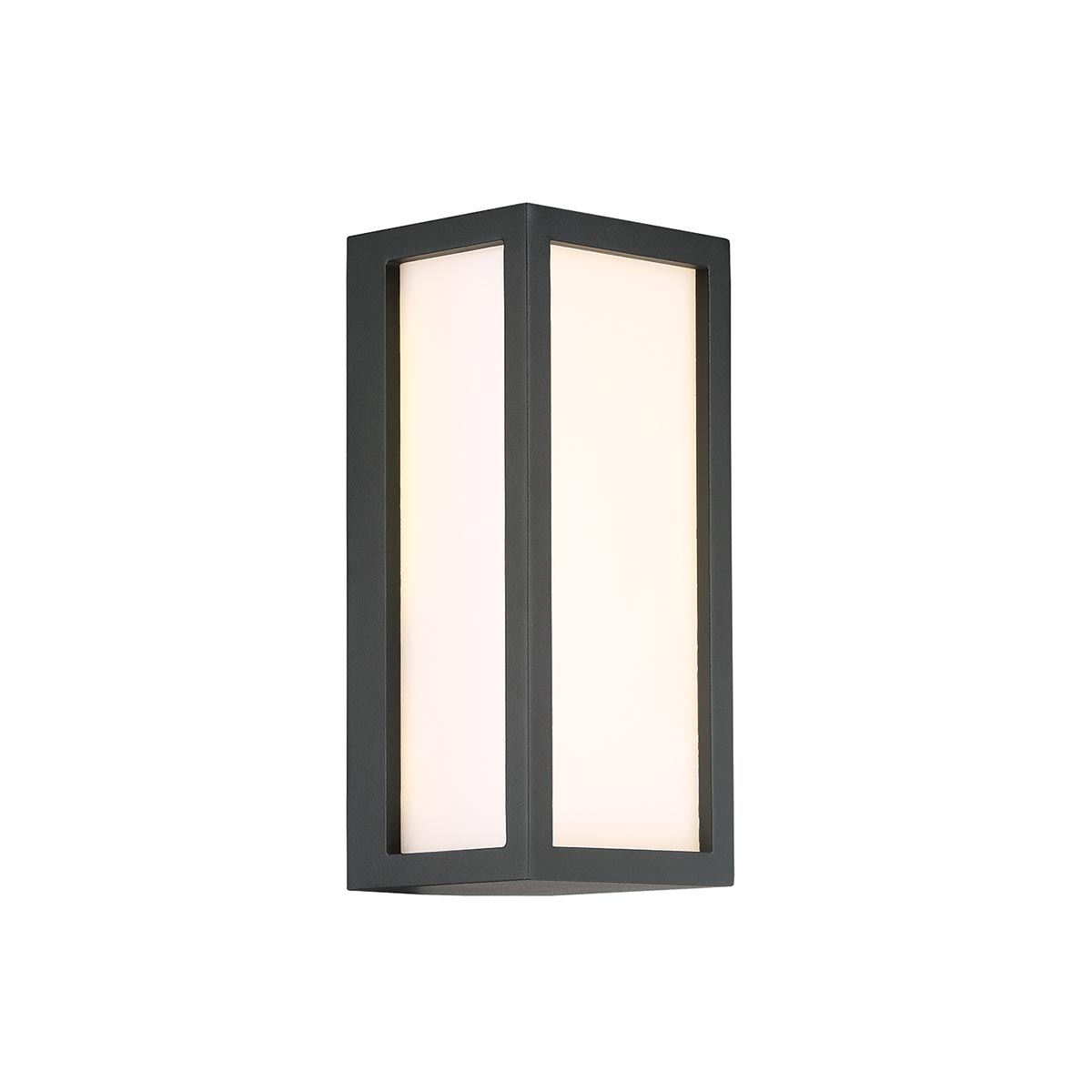 Outdoor LED Wall Mount