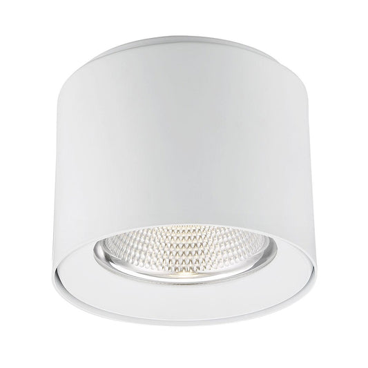 Parkway 1-Light LED Flushmount