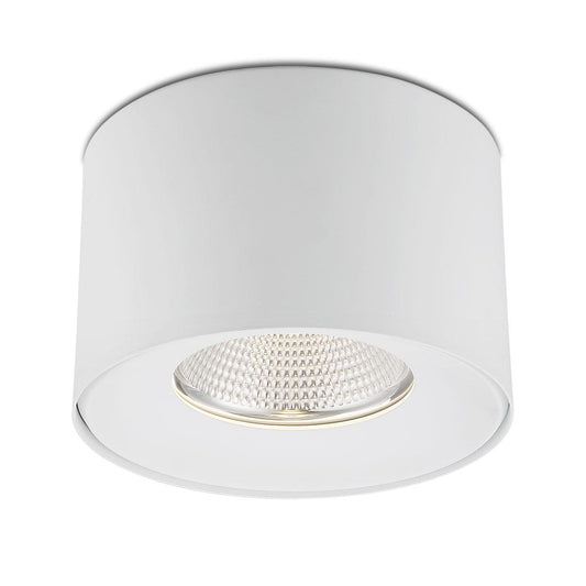 Parkway 1-Light LED Flushmount
