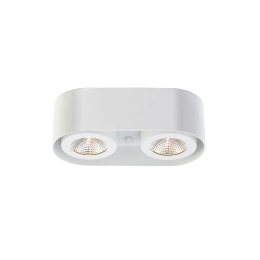 Nymark 2-Light Surface Mount