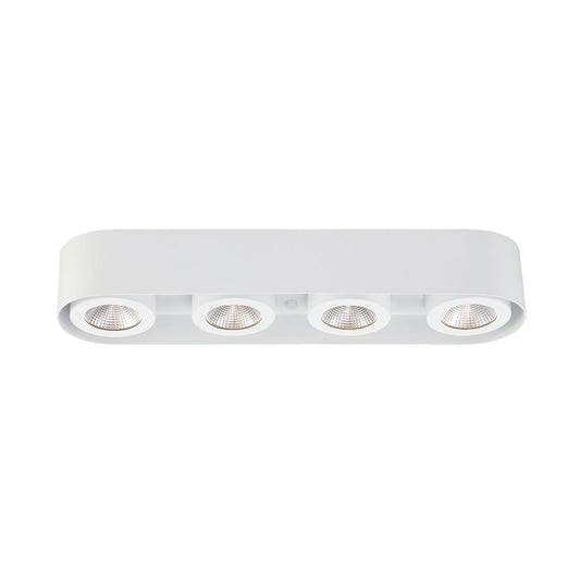 Nymark 4-Light Surface Mount