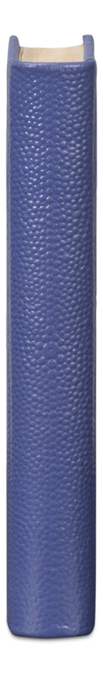 Shagreen Books Set Of 12 Marlin