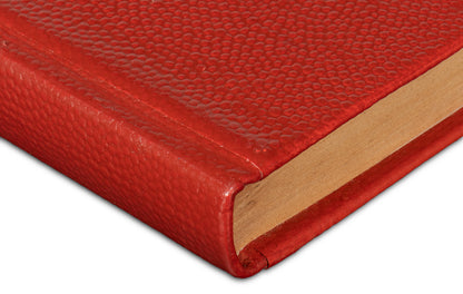 Shagreen Books Set Of 12 Rooibos Tea