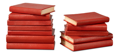 Shagreen Books Set Of 12 Rooibos Tea