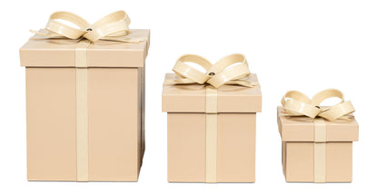 Ferrell Leather Holiday Boxess/3taupe