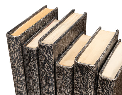 Shagreen Books Set Of 12 Antique Grey