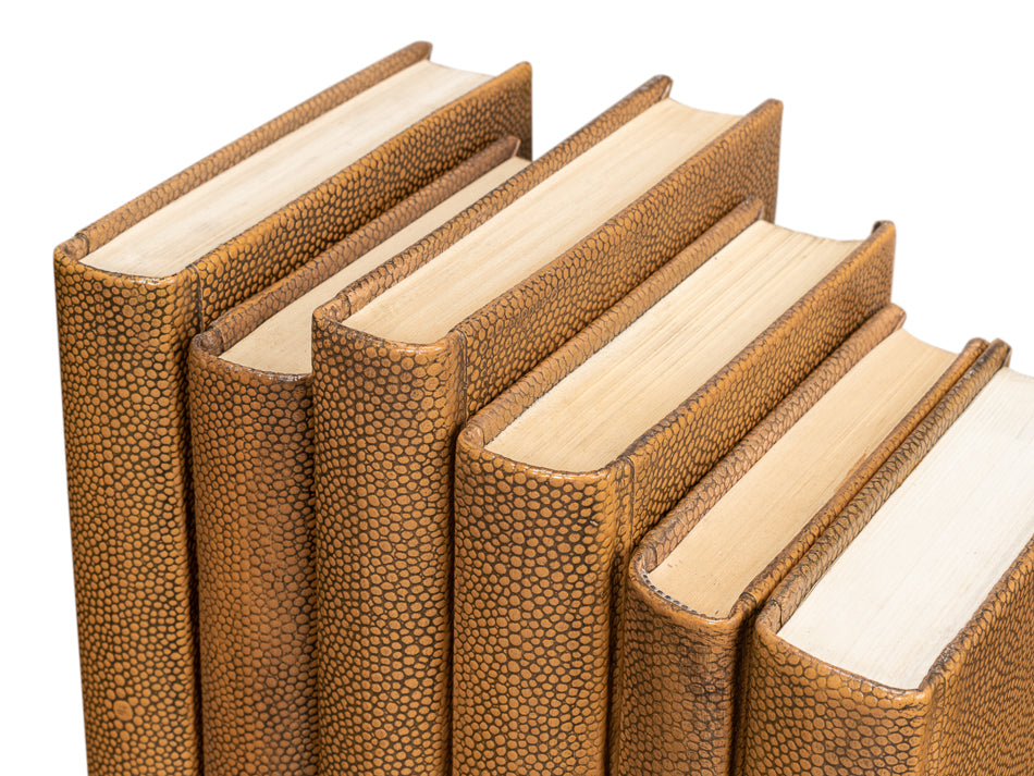 Shagreen Books Set Of 12 Tawny Brown