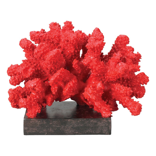 A-FIRE ISLAND CORAL