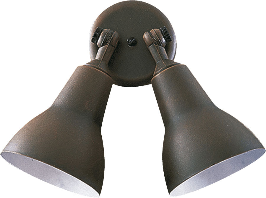 2LT PAR LAMP FLOODLGT-RU