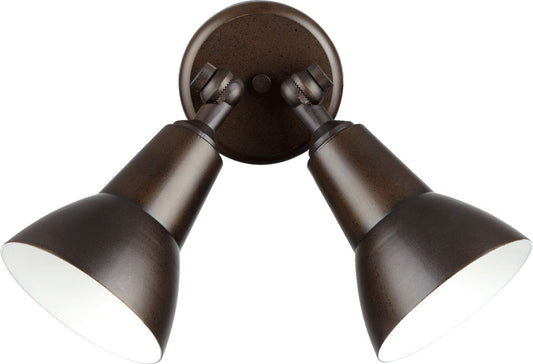2LT PAR LAMP FLOODLGT -OB