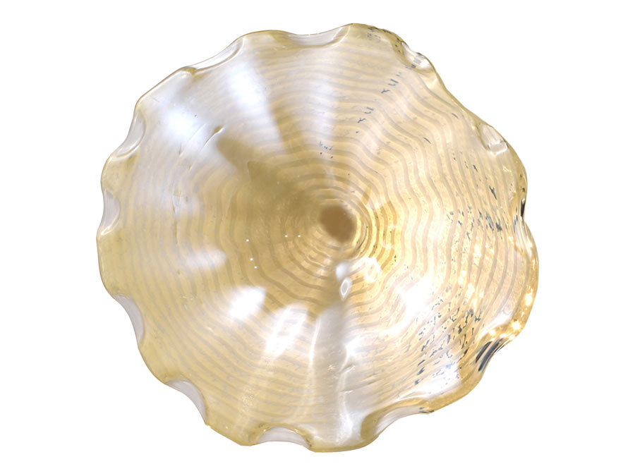 Beige Feather 9"D Hand Blown Art Glass Wall Decor