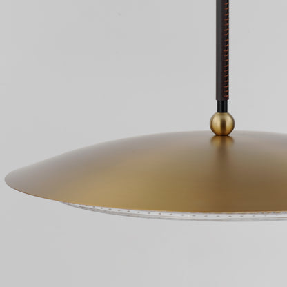 20" LED Pendant