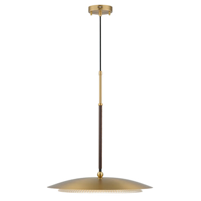 20" LED Pendant