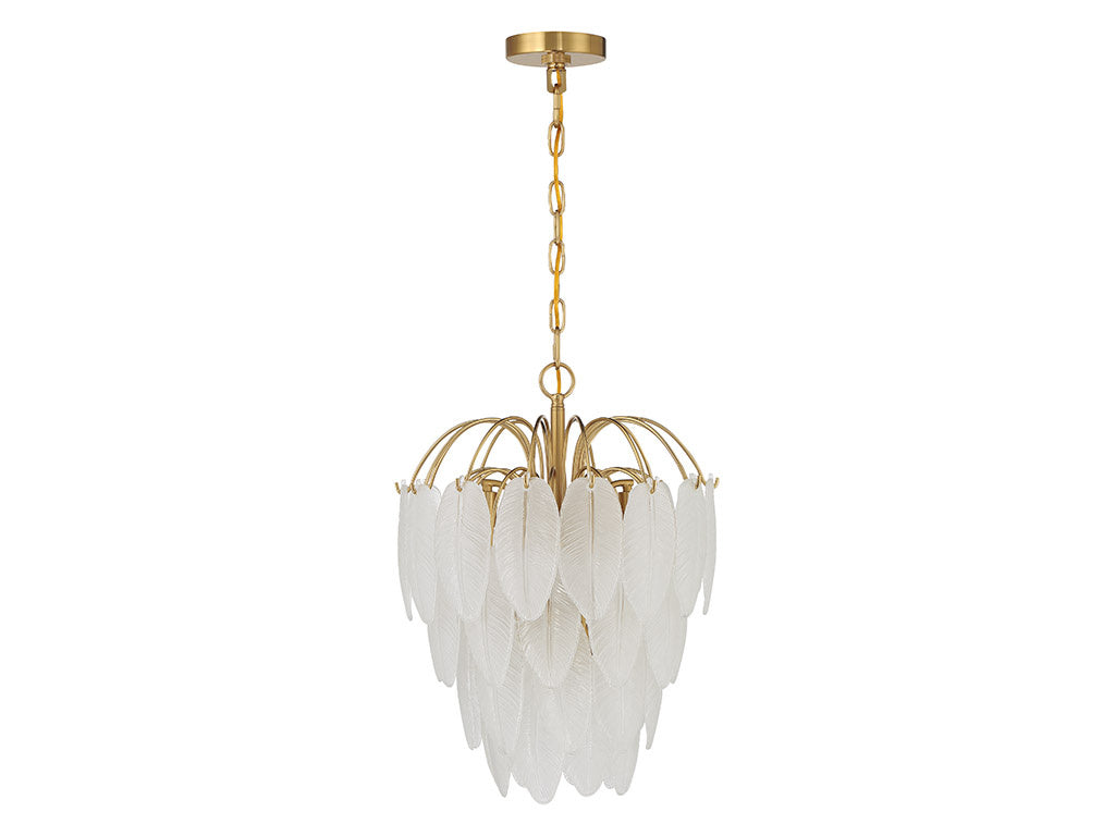 5-Light Frosted Glass Feather Chandelier in Warm Brass by Breegan Jane